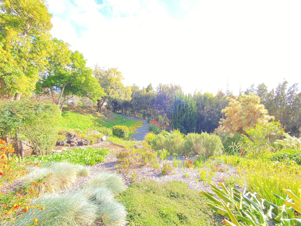 Botanical Garden Botanical Garden